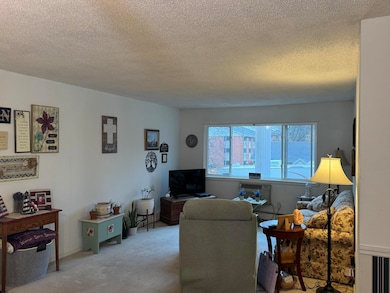 255 Elmwood Ave unit 205, Lake Geneva, WI 53147 - photo 6
