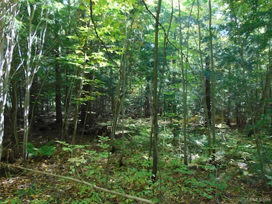 TBD 1 Moore Rd, Bessemer, MI 49911 - photo 7