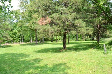 Gorgeous Yard