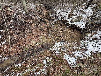 640 Hemlock Ln, Mars Hill, NC 28754 - photo 5