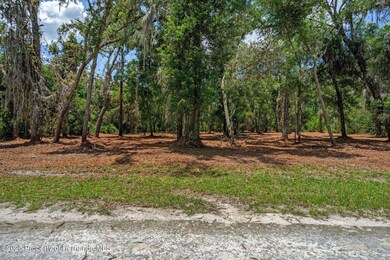16-web-or-mls-M7304373