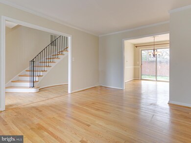 8347 Forrester Blvd, Springfield, VA 22152 - photo 7