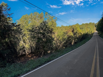 Tract 3 Everest Rd, Ruth A Township, MO 65656 - photo 3