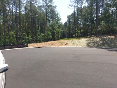 Lot 2 True Cedar Way, Aiken, SC 29803 - photo 3