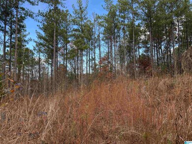 680 Sweet Apple Rd, Pell City, AL 35128 - photo 4