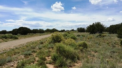 995 Ranch View Loop, White Oaks, NM 88301 - photo 4
