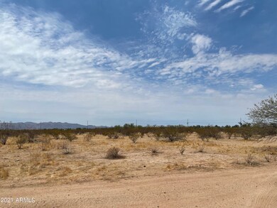 photo6