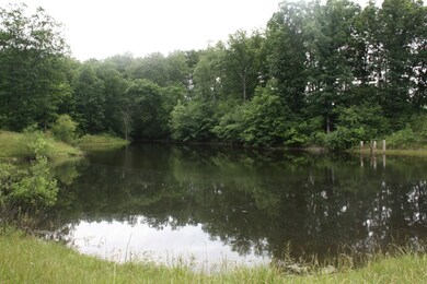 Large Lake