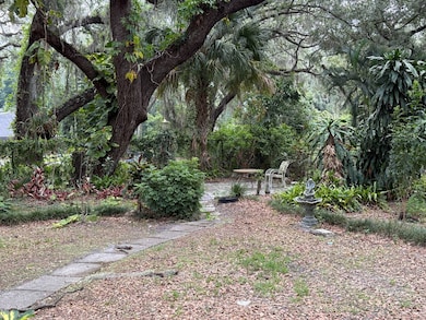 Large Backyard