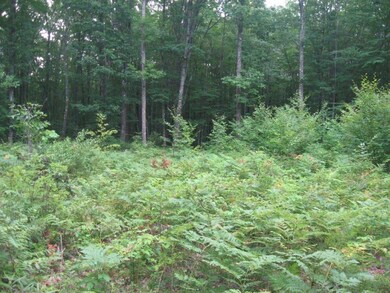 0 Wilderness Way unit 1525568, Lyman, ME 04002 - photo 7