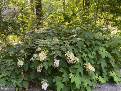 14109 Robcaste Rd, Phoenix, MD 21131 - photo 7