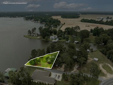 524 Spring Creek Rd, Warwick, GA 31796 - photo 3