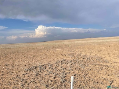 Buena Vida 4 Blk 6 Lot 1, Roswell, NM 88201 - photo 3