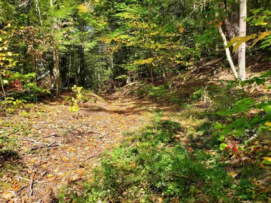 0 Pierce Rd, Chesterfield, NH 03462 - photo 5