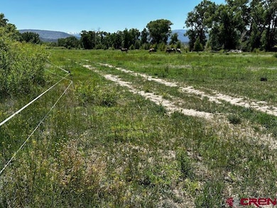 The electric fence is the approx southern property