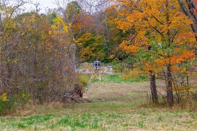 10524 Kleski Rd SE, Uhrichsville, OH 44683 - photo 6