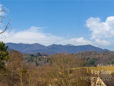 333 Goughes Branch Rd, Leicester, NC 28748 - photo 3