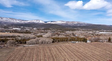 19235 2325 Rd, Cedaredge, CO 81413 - photo 3