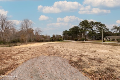 122 Montpelier Dr, Edenton, NC 27932 - photo 4