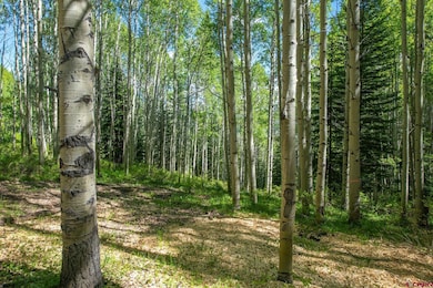 TBD Hidden Mine Rd, Crested Butte, CO 81224 - photo 6