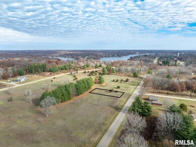 247 S Lakeview Rd, Dahinda, IL 61428 - photo 4