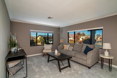 Living Room Windows