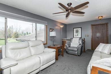 1420 Swanhill Dr, Albert Lea, MN 56007 - photo 3