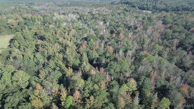 75 Highway 82 Hwy, Booth, AL 36064 - photo 4