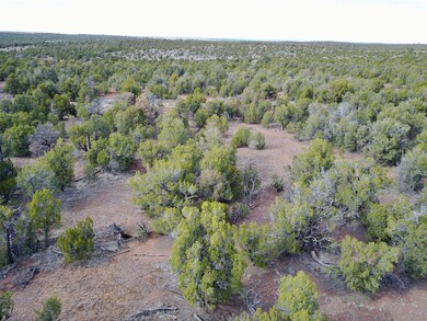 DJI_0577