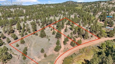 163 Valley View Dr, Florissant, CO 80814 - photo 6