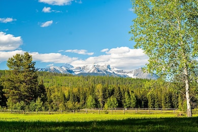 8500 N Fork Rd, Polebridge, MT 59928 - photo 5
