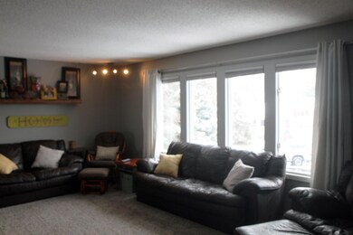 Large Windows