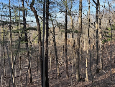 5950 S Lake George Rd, Dryden, MI 48428 - photo 6