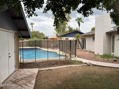 backyard 3