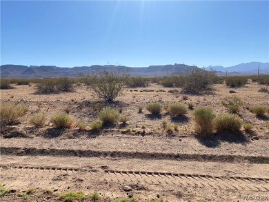 Looking into the Parcel from West Property Line fr