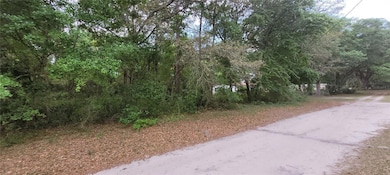 000 NE 153rd St, Fort Mc Coy, FL 32134 - photo 4