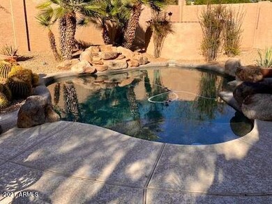 Backyard 2 (2)