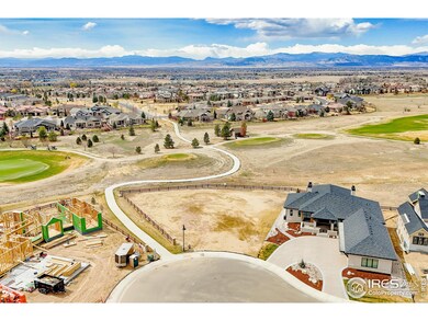 3795 Tall Grass Ct, Timnath, CO 80547 - photo 3
