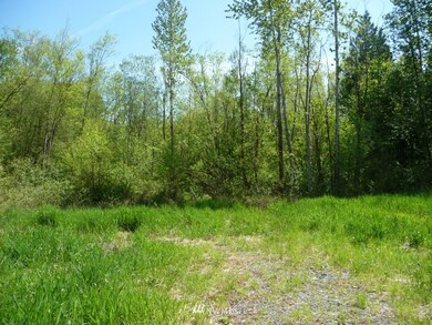 23919 4th Ave NW, Stanwood, WA 98292 - photo 4