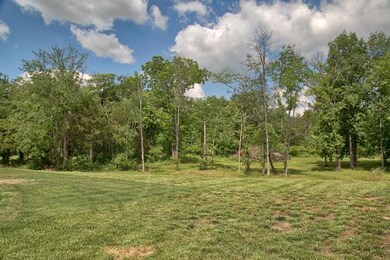 Beautiful and private acre+ backyard