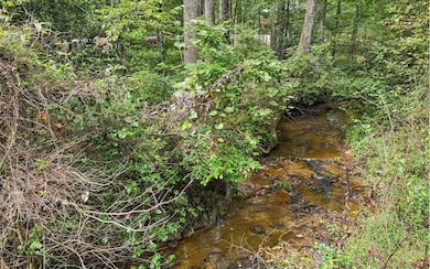 LT21 Oak Ridge Way, East Ellijay, GA 30536 - photo 3