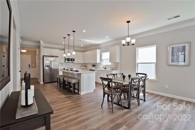 Lot 168 Kerri Dawn Ln unit 168, Locust, NC 28097 - photo 6