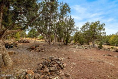 1858BourdonSt-ShowLow-AZ-14