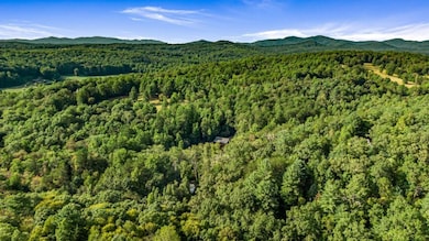 0 Evergreen Ln unit 7650667, Mineral Bluff, GA 30559 - photo 2