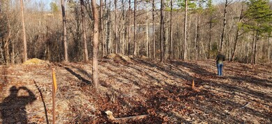 1 Antler Dr, Smithville, TN 37166 - photo 4