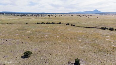 000-A2 Kirby Lane Lot A2 Ln, Ash Fork, AZ 86320 - photo 3
