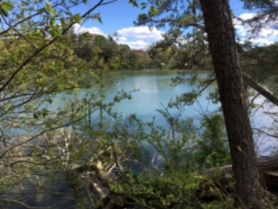 Creek View