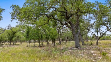 View of nature