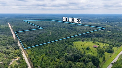 90 Acres Union Hill Rd, Vernon, FL 32462 - photo 2