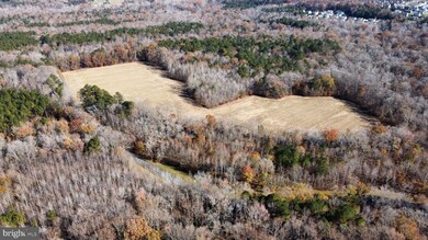 23635 Maypole Rd, Leonardtown, MD 20650 - photo 4